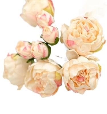 Product: 10 Stems Cream Artificial Wedding Flowers,Dried Pink Peonies for Home Decoration Gifts Decor(NO VASE) for Wedding/Home Decoration(Cream)
