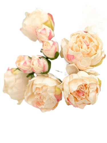 Product: 10 Stems Cream Artificial Wedding Flowers,Dried Pink Peonies for Home Decoration Gifts Decor(NO VASE) for Wedding/Home Decoration(Cream)