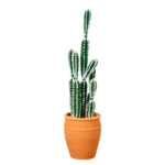 Product: Nearly Natural 41in. Artificial Cactus in Terracotta Planter