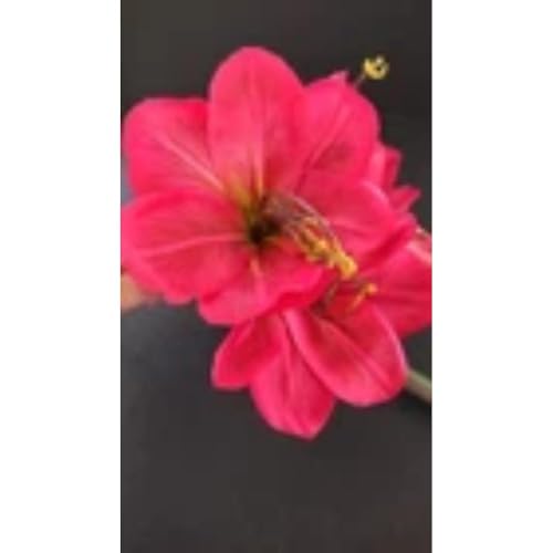 Silky Flower Store Red Amaryllis Stem Silk Artificial Floral Arrangement, Faux Silk Crimson Floral Decor, 20in 3 3 Product: Amaryllis Stem Silk Floral Arrangements Red Artificial Flowers
