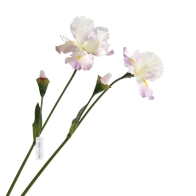 Product: DUYHBAWRS Simulated Flower Decorations, Single Branch Artificial Flowers, Wedding Decorations, Iris Flowers(A)