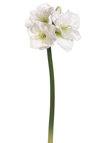 29" Handwrapped Silk Amaryllis Flower Spray -White (pack of 6) - Artificial Flower Arrangements Product: 29" Handwrapped Silk Amaryllis Flower Spray -White (pack of 6)