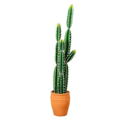 Product: Nearly Natural 5ft. Artificial Cactus in Terracotta Planter