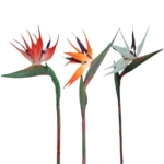 Product: WwWsyfdc 3pcs Simulated Bird of Paradise Flowers, Fake Bird of Paradise Strelitzia, Imitation Silk Plants for Home Office Wedding Table Decoration(3pcs-Red Orange Blue,Small)