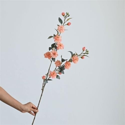 Product: Fake Flowers with Vase Simulation Camellia Chinese Zen Silk Flowers Home Soft Furnishings Placement Flower Arrangement Fake Flowers Ornaments Jewelry Plant Decor (B)