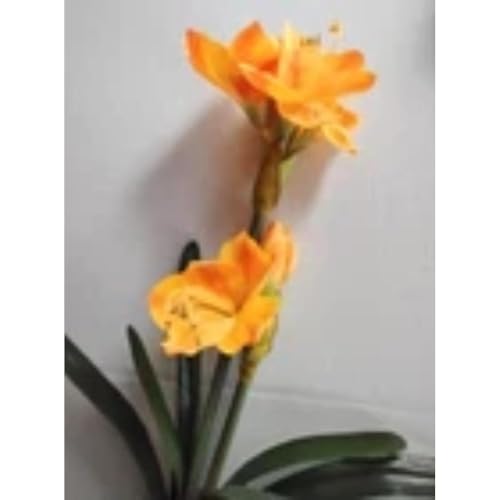 Product: Amaryllis with Bulb Silk Floral Arrangements Yellow Artificial Flowers