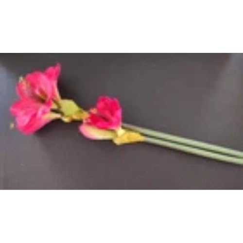 Silky Flower Store Red Amaryllis Stem Silk Artificial Floral Arrangement, Faux Silk Crimson Floral Decor, 20in 2 2 Product: Amaryllis Stem Silk Floral Arrangements Red Artificial Flowers