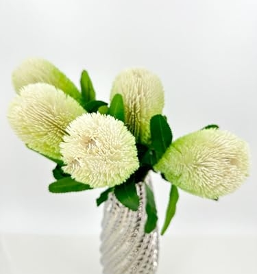 Product: 5 Stems Banksia Protea Stem,Artificial Long Stem Flower for Table Centerpieces Wedding Party Home Decoration Indoor(NO VASE) for Wedding/Home Decoration