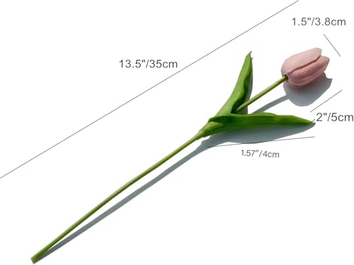 Product: Beautiful Flower Soft Tulips, 20Pcs Artificial Flowers, Suitable for Table Center, Wedding Party, Home Floral Decoration（No Vase） Used for Home Decoration, Weddings
