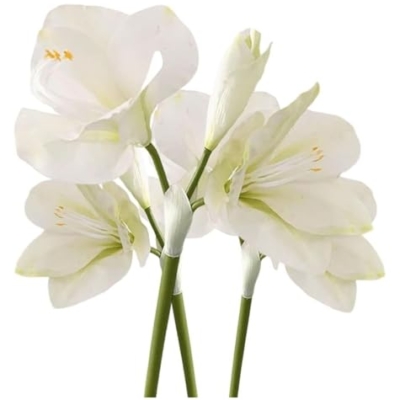 Product: ZXDdxjiu Faux Flowers,Fake Flowers, Artificial Amaryllis Flowers, 21.5 inches, Red, White, Pink, Set of 3, Faux Lilies for Wedding, Home, Office, Hotel Decor(White)