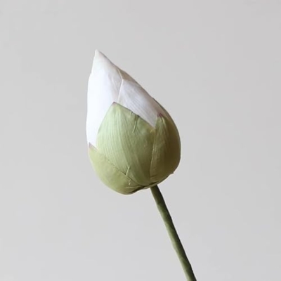 Product: WanderPanda 9 Stems Fake Flowers Artificial Flowers Faux Flowers Simulated Plant Artificial Lotus Suitable for Indoor Outdoor Party Wedding Decoration Lifelike Faux Bouquets Vase Not Included White