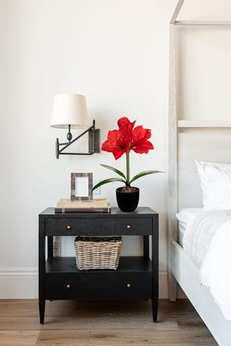 Product: Briful 2 Pack Red Amaryllis Artificial Flower Bundle for Home Office Room Table Vase Arrangement Centerpiece