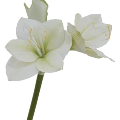 Product: ZXDdxjiu Faux Flowers,Fake Flowers, Artificial Amaryllis Flowers, 21.5 inches, Red, White, Pink, Set of 3, Faux Lilies for Wedding, Home, Office, Hotel Decor(White)