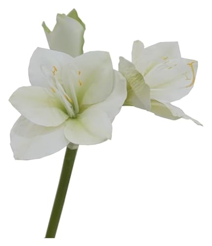 Product: ZXDdxjiu Faux Flowers,Fake Flowers, Artificial Amaryllis Flowers, 21.5 inches, Red, White, Pink, Set of 3, Faux Lilies for Wedding, Home, Office, Hotel Decor(White)