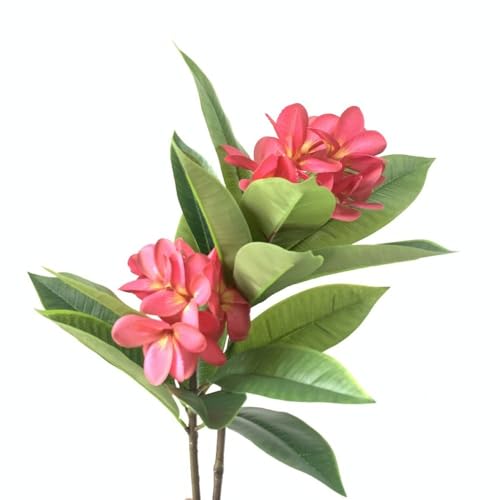 Product: MinLia Artificial Frangipani Flower DIY Flower Arrangements, Real Touch Silk Flower for Home Office Wedding Party Decoration(Rose)