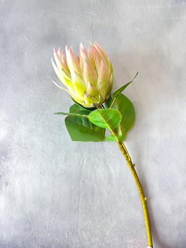 Product: Real Touch King Protea Stem, Large Head Artificial Flower for Indoor Vase Home Table Centerpieces Wedding(NO VASE) Used for Dining Table Center, Wedding Parties, and