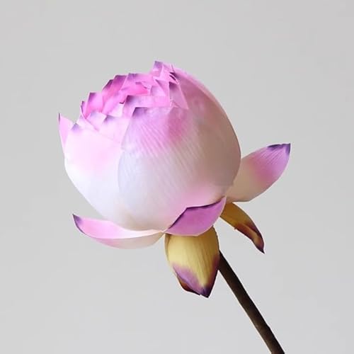 Product: WanderPanda 9 Stems Fake Flowers Artificial Flowers Faux Flowers Simulated Plant Artificial Lotus Suitable for Indoor Outdoor Party Wedding Decoration Lifelike Faux Bouquets Vase Not Included Pink