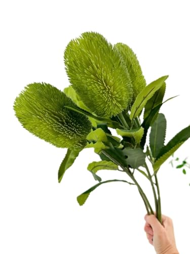 Product: 5 Stems Banksia Protea Stem,Green Artificial Long Stem Flower for Table Centerpieces Wedding Party Home Decoration Indoor(NO VASE)