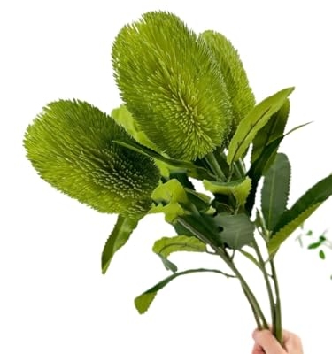 Product: 5 Stems Banksia Protea Stem,Green Artificial Long Stem Flower for Table Centerpieces Wedding Party Home Decoration Indoor(NO VASE) for Wedding/Home Decoration