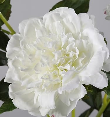 Product: 6 Stems Real Touch Peony Flower Spray with Leaves, Artificial Bridal Bouquet for Home Wedding Party Arrangement, Table Centerpiece for Wedding/Home Decoration(Pink)