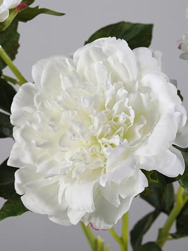 Product: 6 Stems Real Touch Peony Flower Spray with Leaves, Artificial Bridal Bouquet for Home Wedding Party Arrangement, Table Centerpiece for Wedding/Home Decoration(Pink)