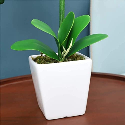 Silky Flower Store Artificial Phalaenopsis Orchid Porcelain Vase, Indoor Silk Orchid Arrangement, Home Decor, 4.33in 8 8 Product: 15" Artificial Phalaenopsis w/Porcelain Vase Indoor Silk Orchid Fake Plants in Pot Faux Flowers Arrangements for Living Room Table Centerpieces Home Decor