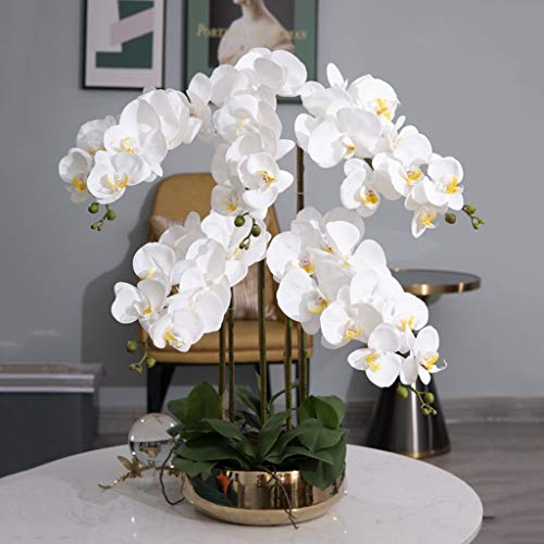 Product: JZZJSBX Artificial Orchid Flowers with Vase Set, 5 Heads White Phalaenopsis Artificial Faked Flowers Plant Orchid for Home Decor, 26.8" H Table Centerpiece Office Wedding Party Decoration