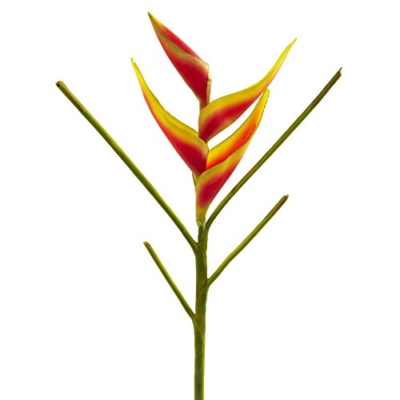 Product: Nearly Natural 26 in. Heliconia Artificial (Set of 4) Silk Flowers, 1x8x26, Orange