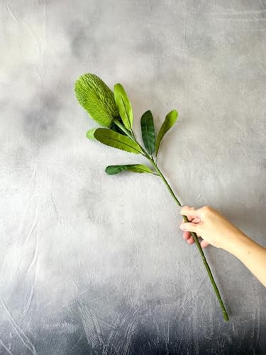 Product: 5 Stems Banksia Protea Stem,Green Artificial Long Stem Flower for Table Centerpieces Wedding Party Home Decoration Indoor(NO VASE)