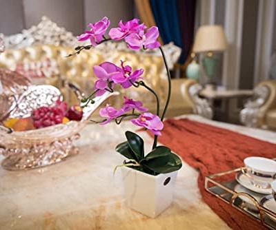 Silky Flower Store Artificial Phalaenopsis Orchid Arrangement, Porcelain Vase, Silk Indoor Faux Flowers, 15 Stem, 32.5cm 5 5 Product: QWQZZRZK 15" Artificial Phalaenopsis w/Porcelain Vase Indoor Silk Orchid Fake Plants in Pot Faux Flowers Arrangements for Living Room Table Centerpieces Home Decor