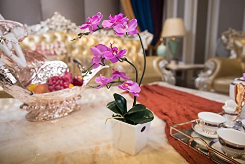 Silky Flower Store Artificial Phalaenopsis Orchid Arrangement, Porcelain Vase, Silk Indoor Faux Flowers, 15 Stem, 32.5cm 1 1 Product: QWQZZRZK 15" Artificial Phalaenopsis w/Porcelain Vase Indoor Silk Orchid Fake Plants in Pot Faux Flowers Arrangements for Living Room Table Centerpieces Home Decor