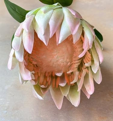 Product: Real Touch King Protea Stem, Large Head Artificial Flower for Indoor Vase Home Table Centerpieces Wedding(NO VASE) Used for Dining Table Center, Wedding Parties, and