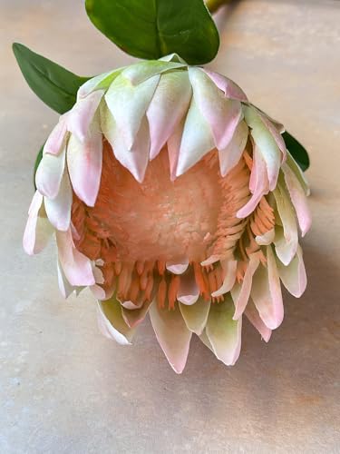Product: Real Touch King Protea Stem, Large Head Artificial Flower for Indoor Vase Home Table Centerpieces Wedding(NO VASE) Used for Dining Table Center, Wedding Parties, and