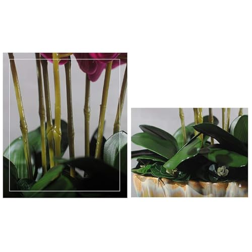 Product: SHUawan Large Artificial Phalaenopsis Orchid in Ceramic Pot – Realistic Silk Flowers for Home, Wedding & Party Decor(White)