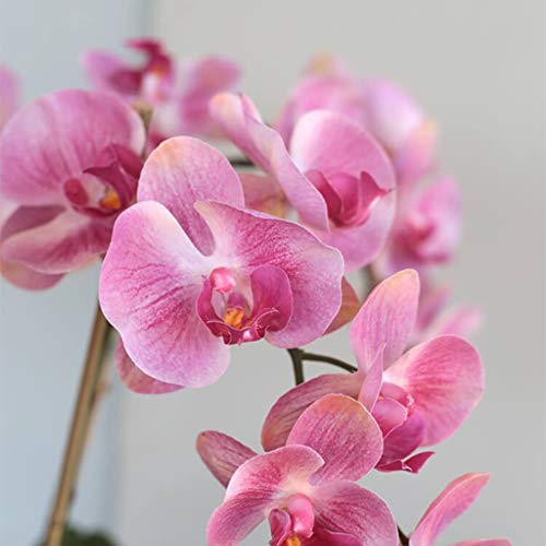 Product: LOPAYUHB Artificial Orchid with Vase, 5 Heads Pink Phalaenopsis, Faked Silk Flowers Plant, Artificial Flower for Home Decor Table Centerpiece Office Wedding Party Decoration