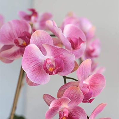 Product: Artificial Orchid with Vase, 5 Heads Pink Phalaenopsis, Faked Silk Flowers Plant, Artificial Flower for Home Decor Table Centerpiece Office Wedding Party Decoration
