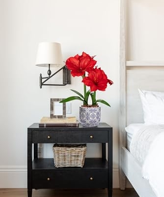 Product: Briful 2 Pack Red Amaryllis Artificial Flower Bundle for Home Office Room Table Vase Arrangement Centerpiece