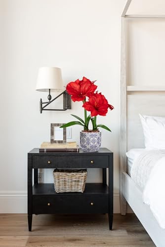 Product: Briful 2 Pack Red Amaryllis Artificial Flower Bundle for Home Office Room Table Vase Arrangement Centerpiece