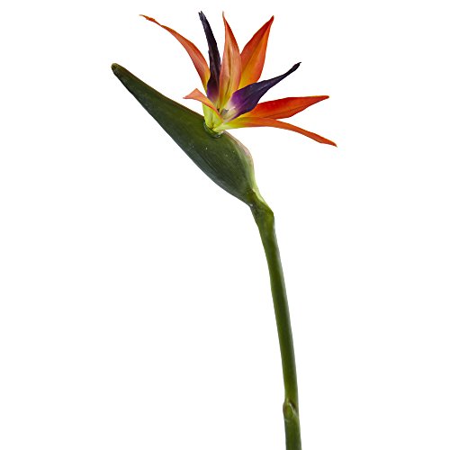 Product: Nearly Natural 35 in. Bird of Paradise Artificial (Set of 4) Silk Flowers, 6x4x35, Orange