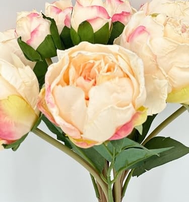 Product: 10 Stems Cream Artificial Wedding Flowers,Dried Pink Peonies for Home Decoration Gifts Decor(NO VASE) for Wedding/Home Decoration(Cream)