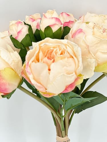 Product: 10 Stems Cream Artificial Wedding Flowers,Dried Pink Peonies for Home Decoration Gifts Decor(NO VASE) for Wedding/Home Decoration(Cream)