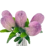 Product: 5 Stems Banksia Protea Stem,Purple Artificial Long Stem Flower for Table Centerpieces Wedding Party Home Decoration Indoor(NO VASE)