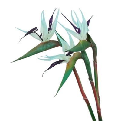 Product: WwWsyfdc 3pcs Simulated Bird of Paradise Flowers, Fake Bird of Paradise Strelitzia, Imitation Silk Plants for Home Office Wedding Table Decoration(3pcs-Blue,Small)