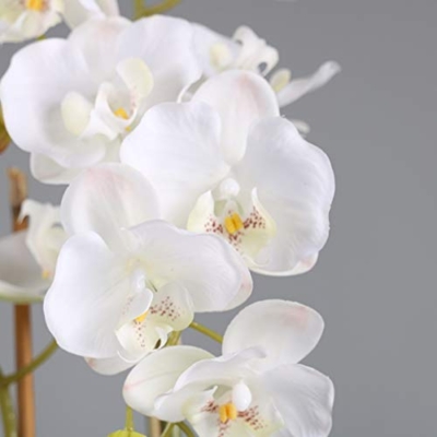 Product: 3 Heads White Artificial Orchid Flowers with Vase Set Faked Silk Flower Plant Artificial White Phalaenopsis for Home Decor Table Centerpiece Office Wedding Party Decoration