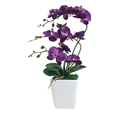 Product: 15" Artificial Phalaenopsis w/Porcelain Vase Indoor Silk Orchid Fake Plants in Pot Faux Flowers Arrangements for Living Room Table Centerpieces Home Decor