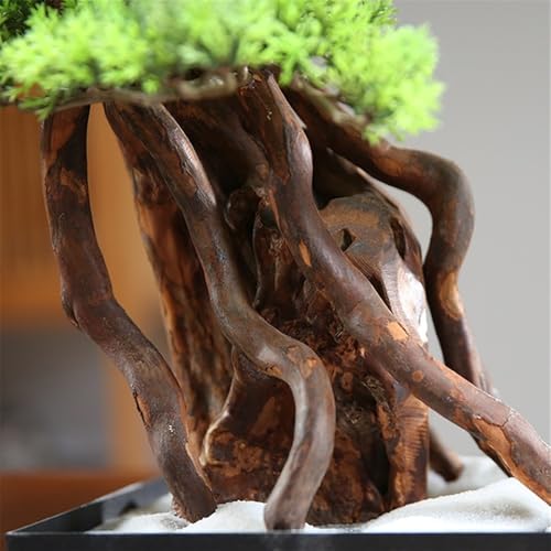 Silky Flower Store Artificial Bonsai Tree, Chinese Welcome Pine Ornament, Office Living Room Decor, 20.5cm 3 3 Product: MOOWI Artificial Bonsai Tree Chinese Ornaments Welcome Pine Entrance Sideboard Decorations Office Landscaping Living Room Wigwam Bonsai Artificial Trees Plants