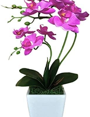 Silky Flower Store Artificial Phalaenopsis Orchid Arrangement, Porcelain Vase, Silk Indoor Faux Flowers, 15 Stem, 32.5cm 7 7 Product: QWQZZRZK 15" Artificial Phalaenopsis w/Porcelain Vase Indoor Silk Orchid Fake Plants in Pot Faux Flowers Arrangements for Living Room Table Centerpieces Home Decor