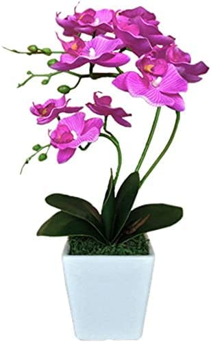 Silky Flower Store Artificial Phalaenopsis Orchid Arrangement, Porcelain Vase, Silk Indoor Faux Flowers, 15 Stem, 32.5cm 3 3 Product: QWQZZRZK 15" Artificial Phalaenopsis w/Porcelain Vase Indoor Silk Orchid Fake Plants in Pot Faux Flowers Arrangements for Living Room Table Centerpieces Home Decor