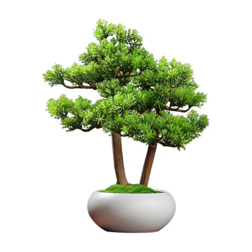 MOOWI Artificial Bonsai Tree Chinese Feng Shui Artificial Bonsai Tree Ornaments Office Desktop Landscaping Fake Green Plants Decorative Artificial Trees Plants(White) - Artificial Flower Arrangements Product: MOOWI Artificial Bonsai Tree Chinese Feng Shui Artificial Bonsai Tree Ornaments Office Desktop Landscaping Fake Green Plants Decorative Artificial Trees Plants(White)