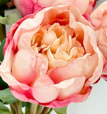 Product: 10 Stems Cream Artificial Wedding Flowers,Dried Pink Peonies for Home Decoration Gifts Decor(NO VASE) for Wedding/Home Decoration(Cream)